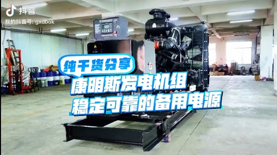 「視頻」如何應(yīng)對(duì)夏天斷電危機(jī)？640KW康明斯發(fā)電機(jī)組助您輕松應(yīng)對(duì)挑戰(zhàn) 